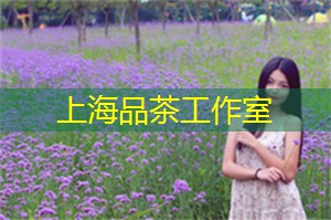 爱上海后花园：跟我一起：在上海的运动旅游